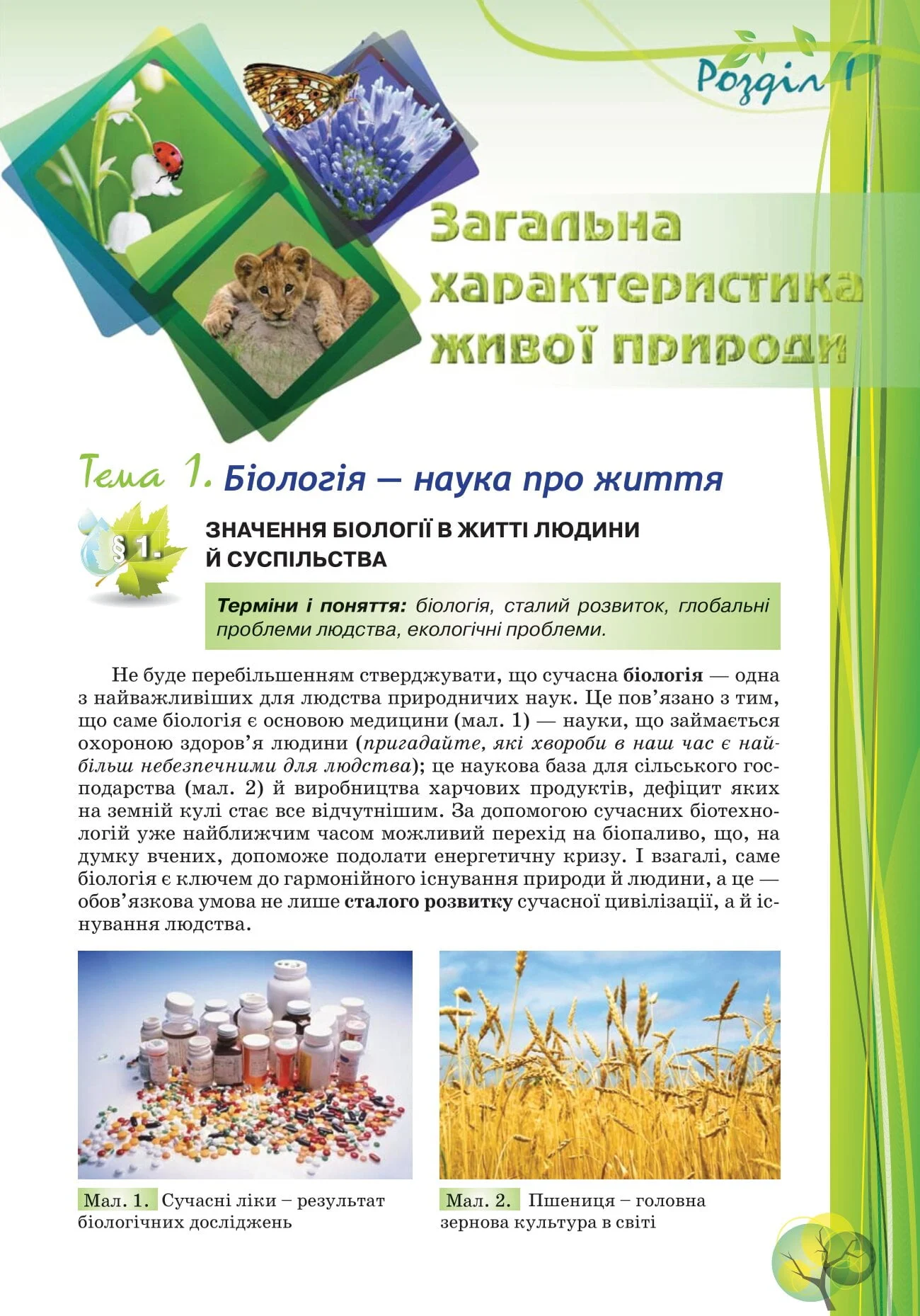 Біологія. 10 клас - Зображення 4