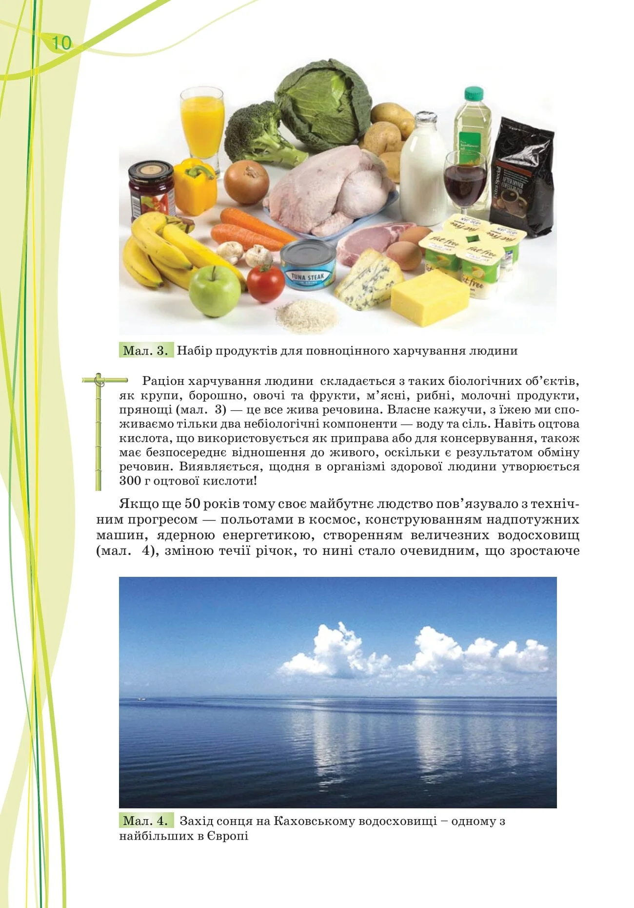 Біологія. 10 клас - Зображення 5
