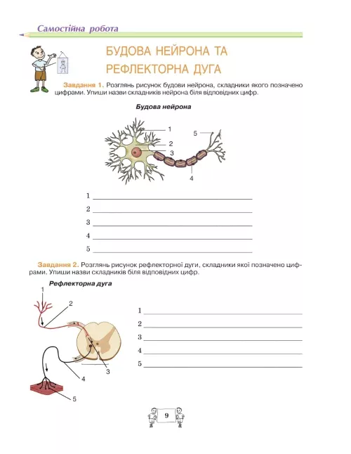 Робочий зошит з біології учня 8 класу - Зображення 8