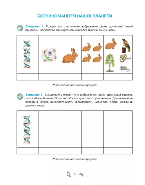 Робочий зошит з біології учня 7 класу (2024) - Зображення 5