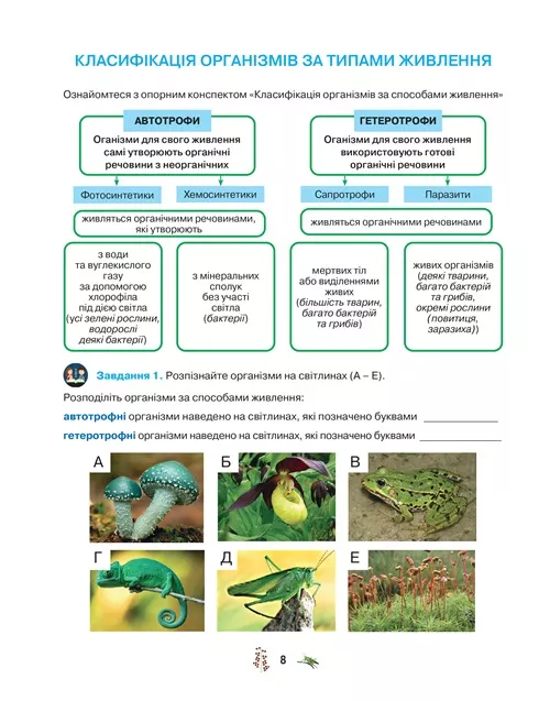 Робочий зошит з біології учня 7 класу (2024) - Зображення 6
